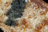 Quartz Cluster with Iron/Manganese Oxide - Diamond Hill, SC #90968-2